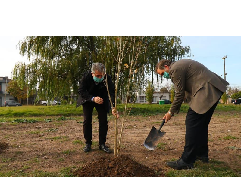 SE REALIZÓ LA PLANTACIÓN DEL ÁRBOL FUNDACIONAL DEL PARQUE BELGRANO